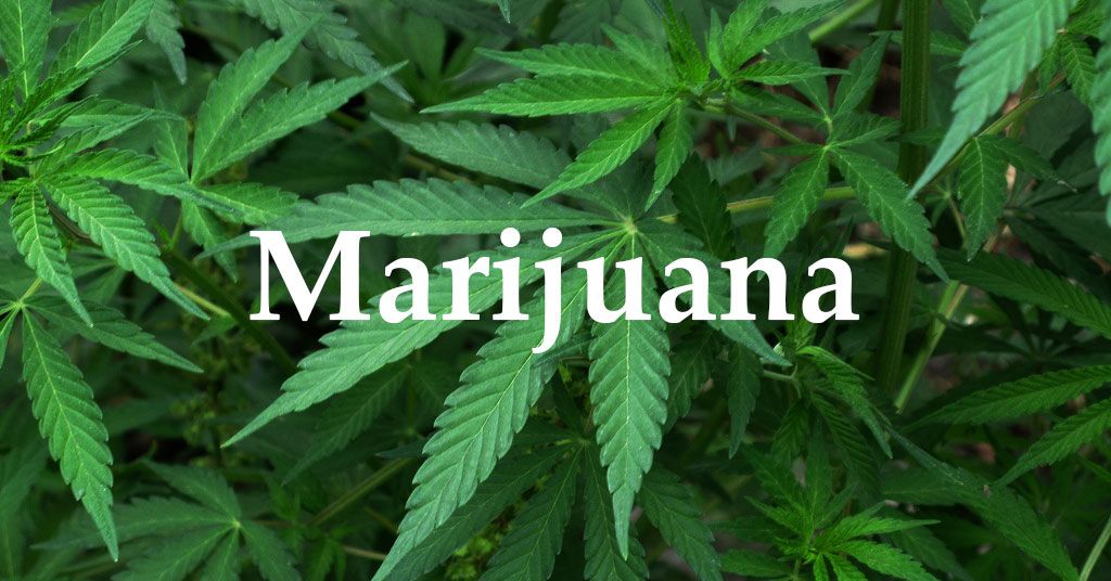 Marijuana Ecigs