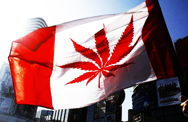 Canada Ecigs Distributors